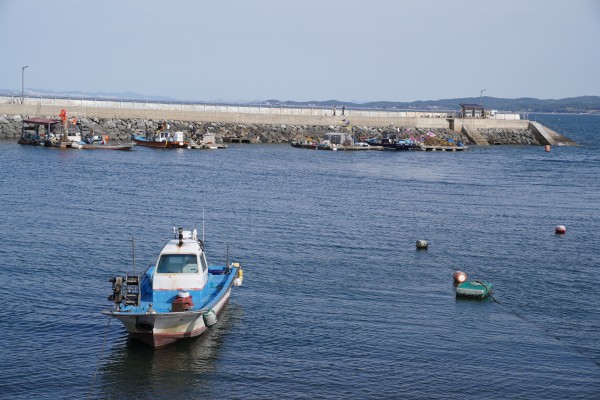 1638521500.7775DSC03297.JPG